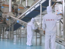 2025年的第一個月，承德亞歐果仁有限公司在山杏產(chǎn)業(yè)的道路上持續(xù)奮進，展現(xiàn)出蓬勃的發(fā)展活力。